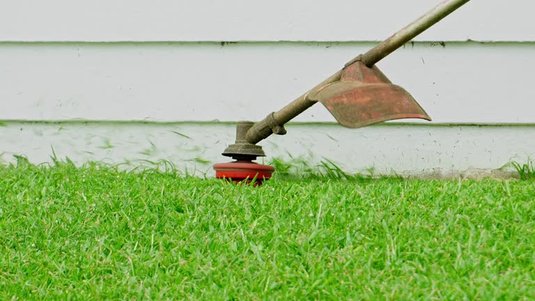 Lawn Grading and Leveling in Rolling Hills Estates, CA